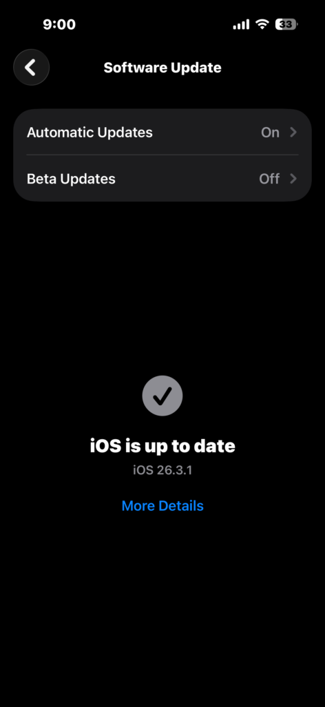 iPhone Software Update screen