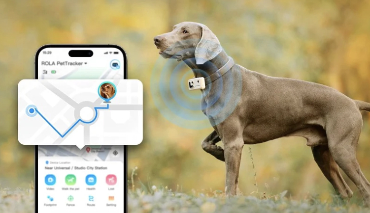 best airtag for dogs in 2026