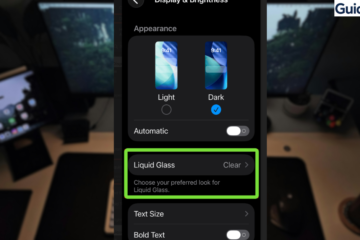 Switching Liquid Glass style to Tinted in Display and Brightness