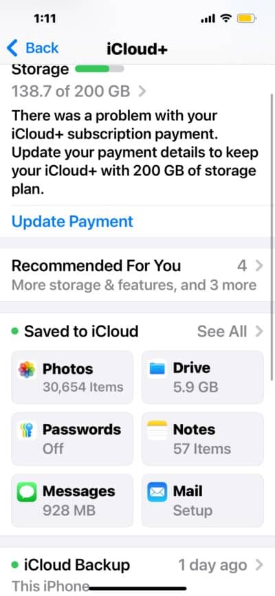 Close up of iCloud email setting on iPhone