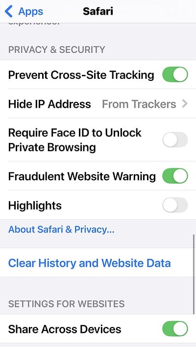 Turn on the Fraudulent Website warning on iPhone