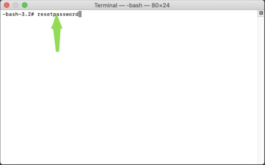 Terminal window showing resetpassword command
