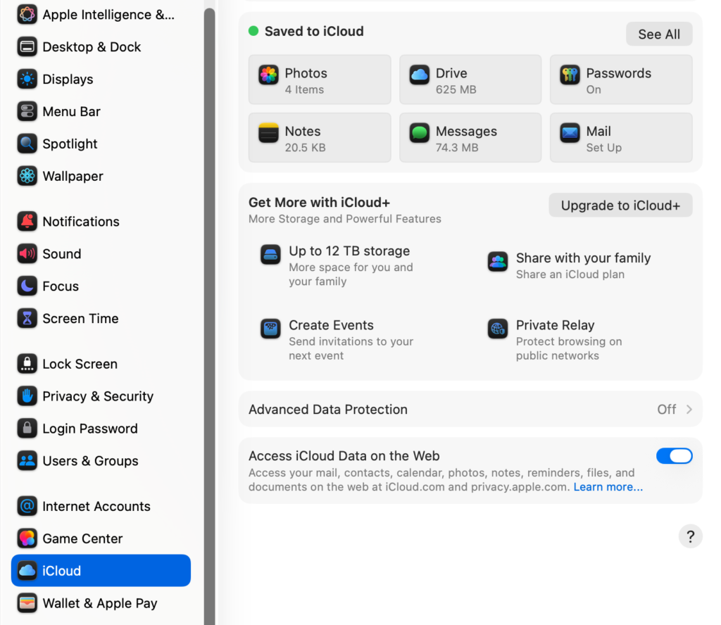 Viewing iCloud settings and storage details on Mac.