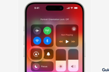 iPhone Control Center showing the Portrait Orientation Lock icon disabled.