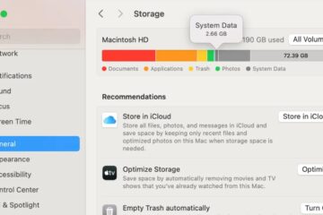 mac os system data large