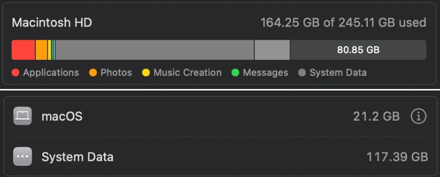 macOS storage overview showing System Data usage