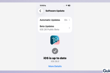 Beta Updates toggle in the iPhone Software Update settings menu.