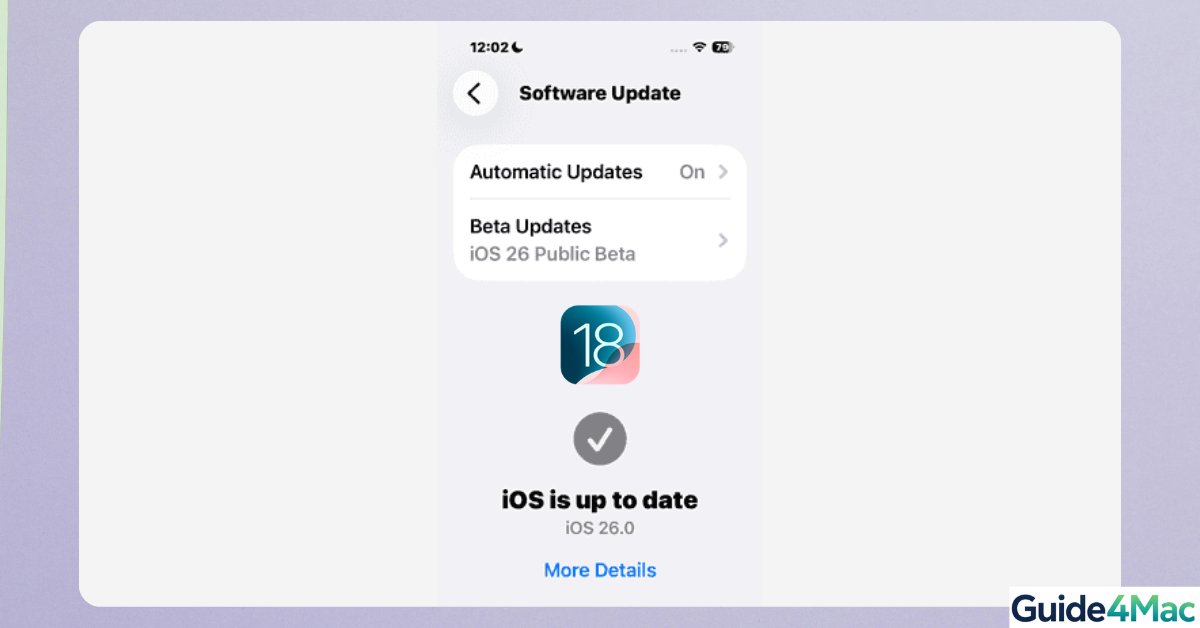 Beta Updates toggle in the iPhone Software Update settings menu.
