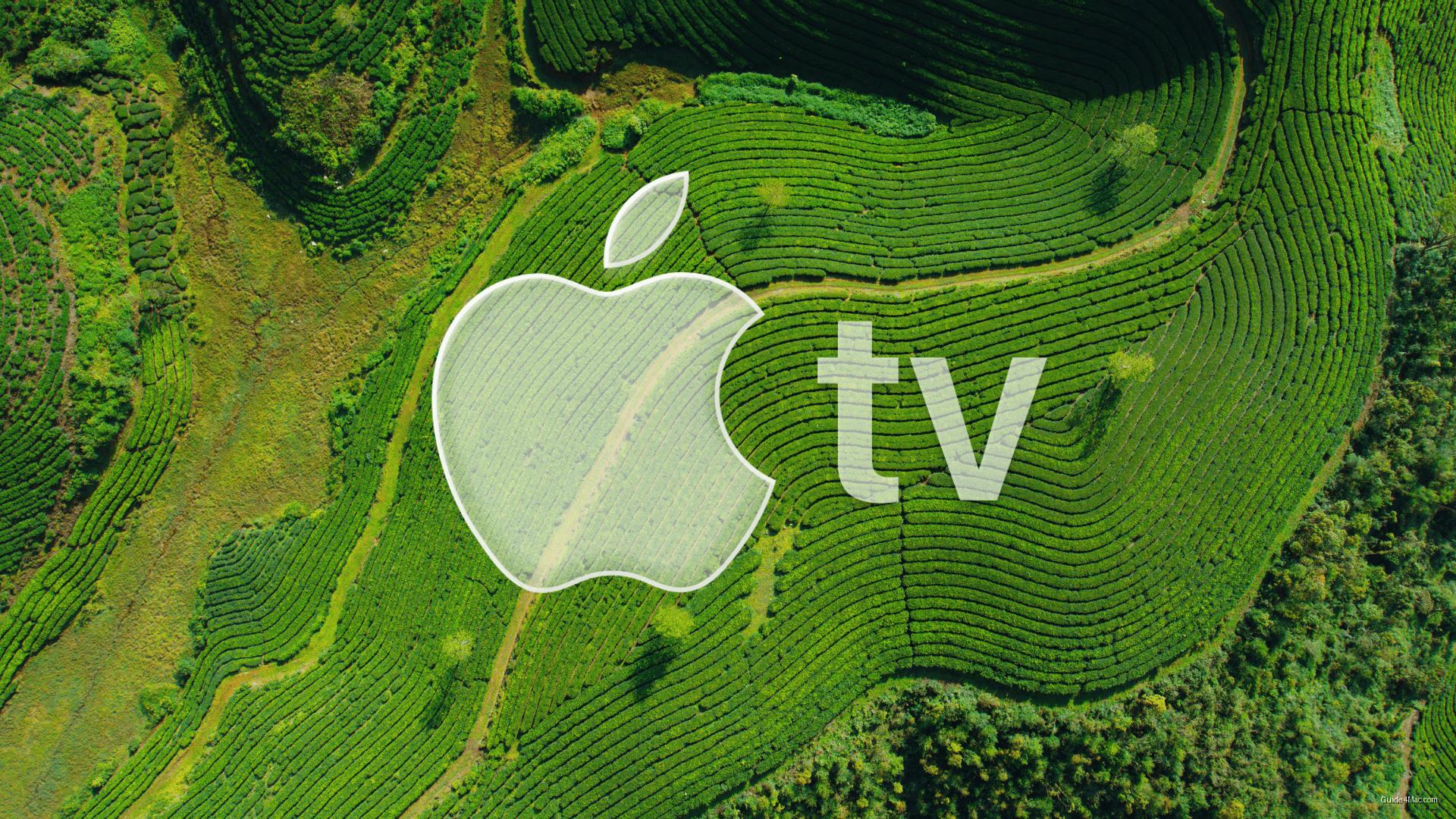 Apple TV Shifts to Fewer, Bigger Films Instead of Building a Massive Library — Apple TV