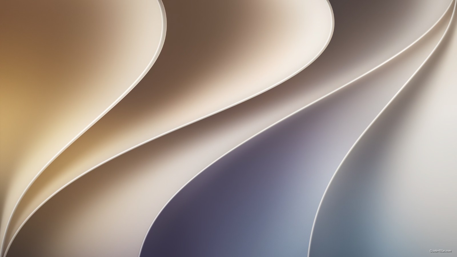 IOS 27 Debuts Celosia Wallpaper Across All Apple Platforms — iPhone