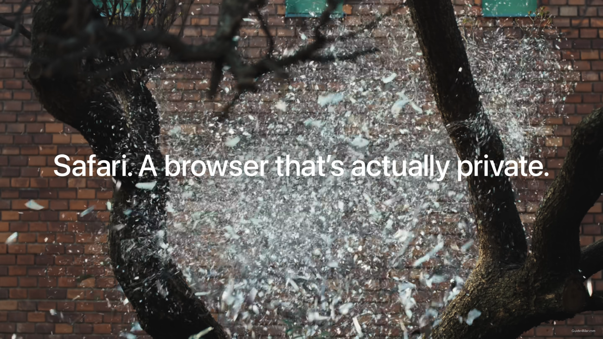 Safari's Tracker-Blocking Campaign Returns as Google Delays Cookie Phase-Out — AI