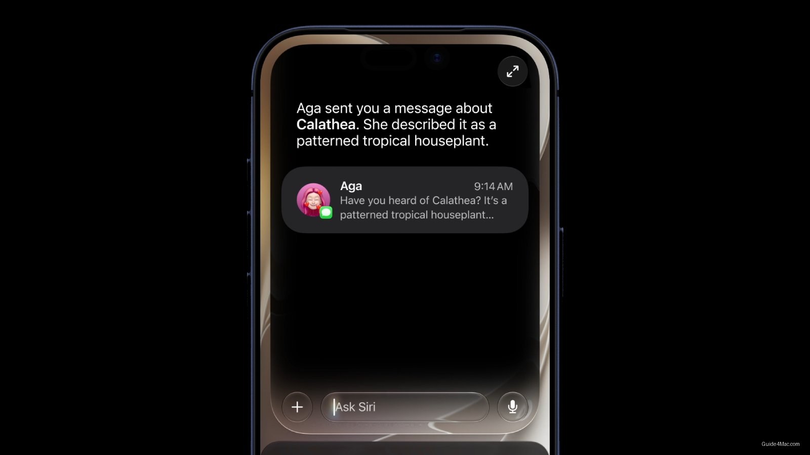 Siri Gets Standalone App After Apple Spent 2025 Denying It — AI