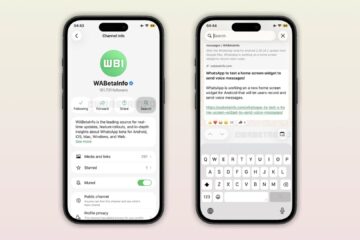 WhatsApp Channels Finally Gets Search, Plus Message Animation Toggle — iPhone