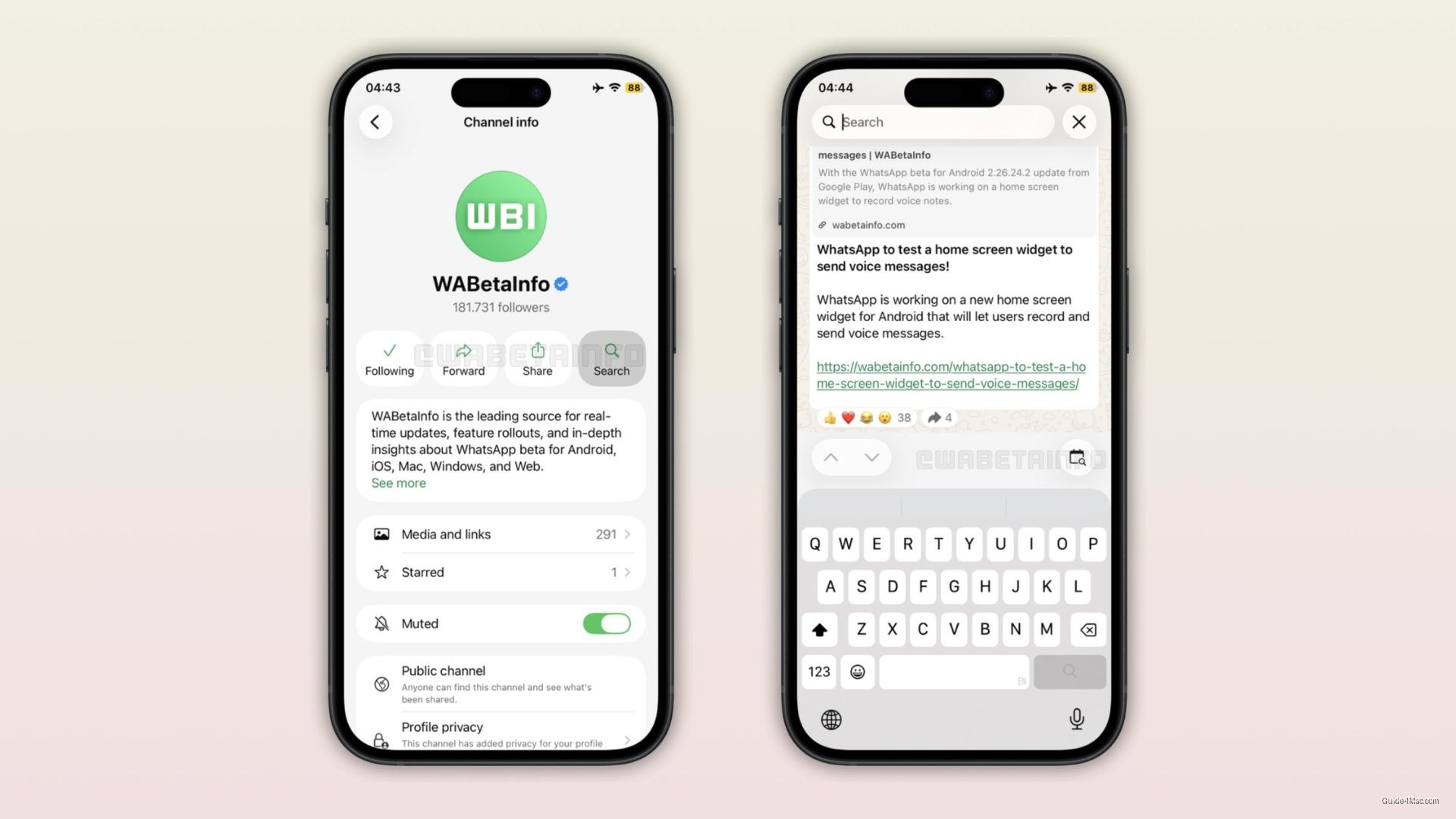 WhatsApp Channels Finally Gets Search, Plus Message Animation Toggle — iPhone